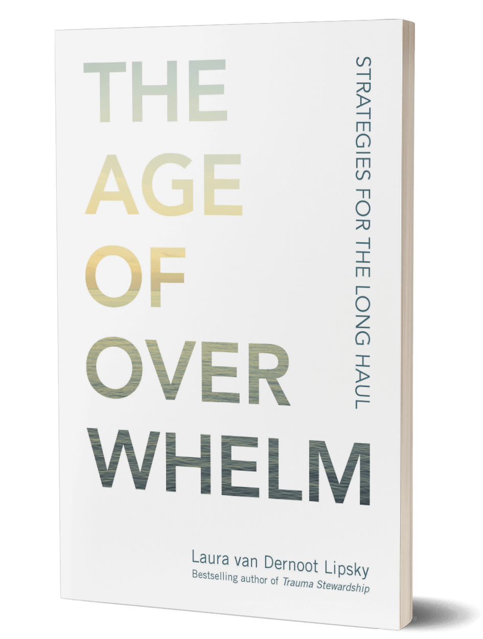 The Age of Overwhelm: Strategies for the Long Haul - Book cover