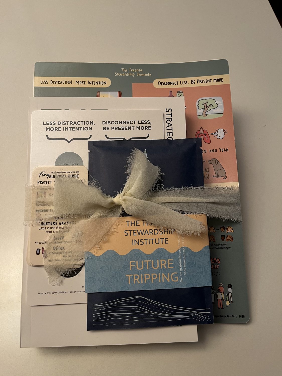 Pile of books, miniposters, and other materials tied with a mustard-color satin ribbon