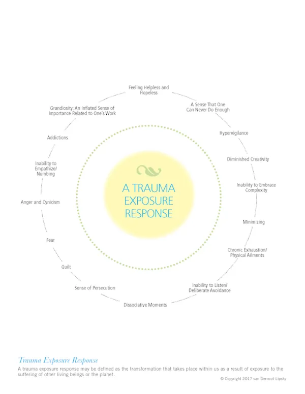 5 Directions & Trauma Exposure (Back)