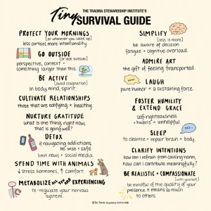 Tiny Survival Guide