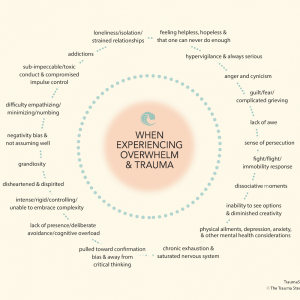 when experiencing overwhelm and trauma mini poster