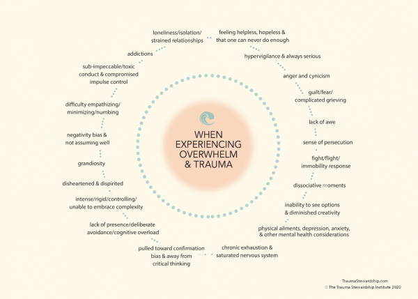when experiencing overwhelm and trauma mini poster